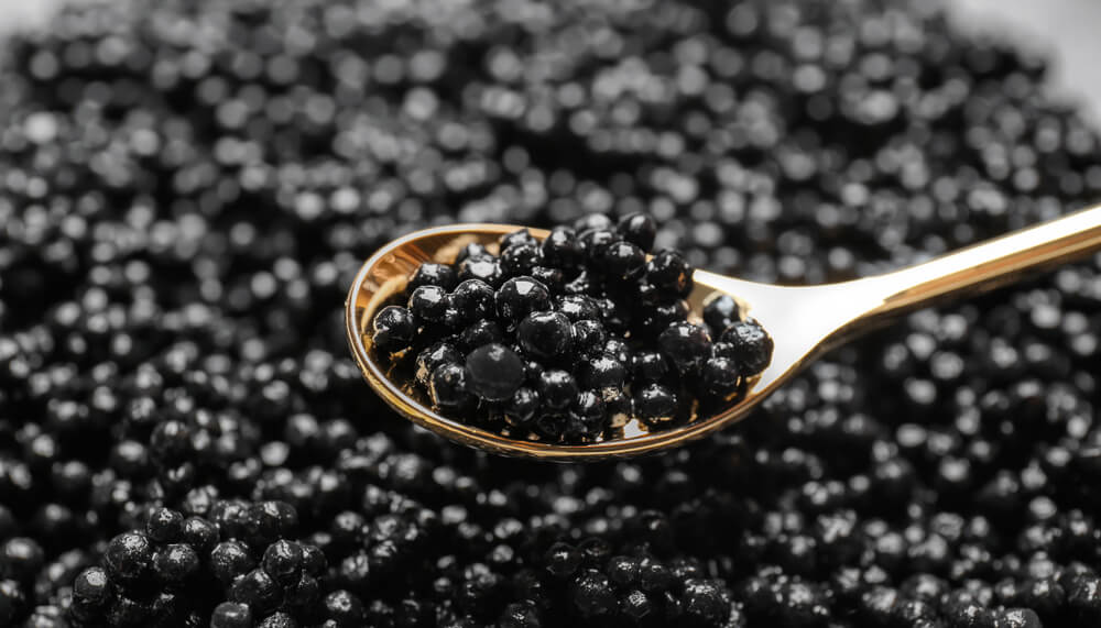 Beluga, Stör und Sevruga Kaviar